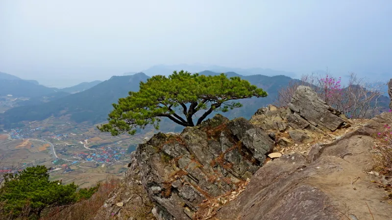 미륵산 (경남 통영) : 2016-04-02