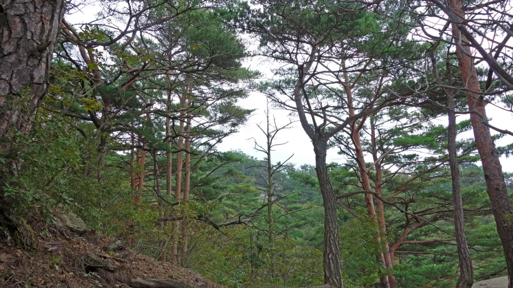 칠보산 (778m) [충북 괴산] : 2016-09-14