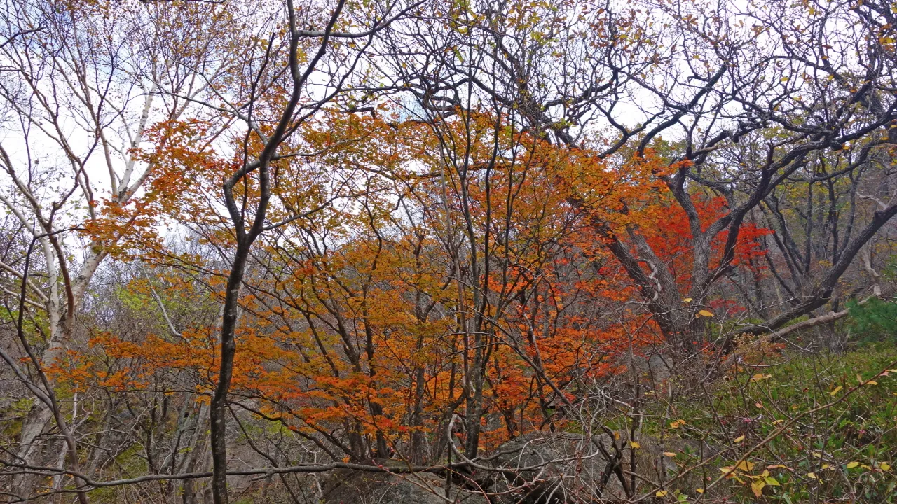 지리산 : 2016-10-29