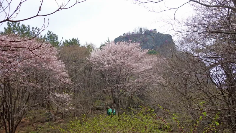 미륵산 (경남 통영) : 2016-04-02