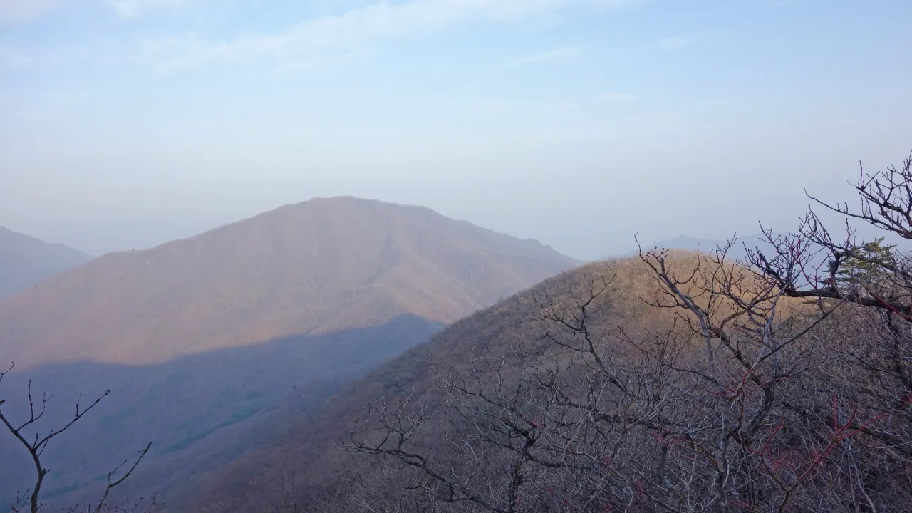 백운산(저남광양) 및 매화축제 : 2016-03-19