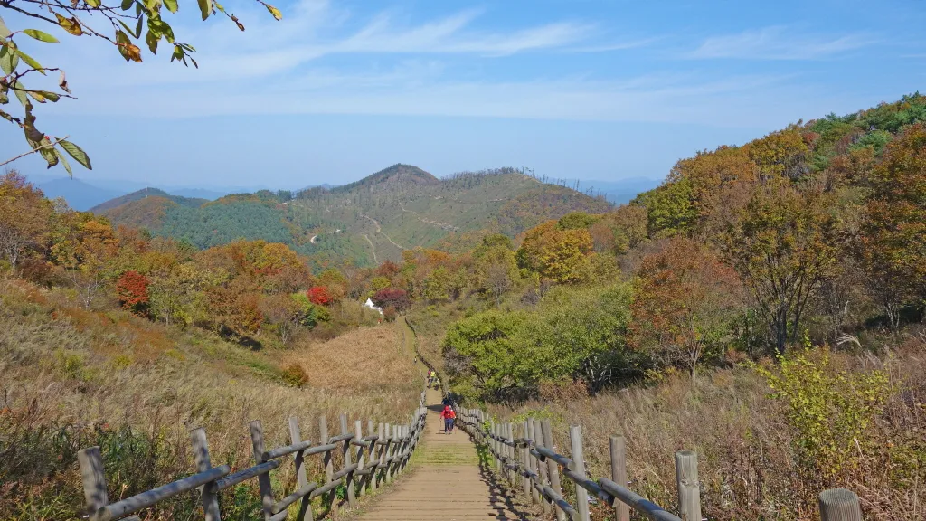 민둥산 : 2016-10-15