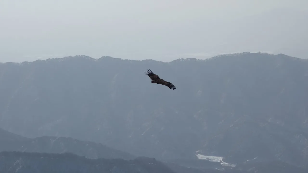 용화산 오봉산 연계산행 : 2017-01-22