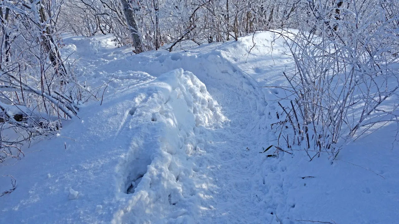 덕유산 눈꽃산행