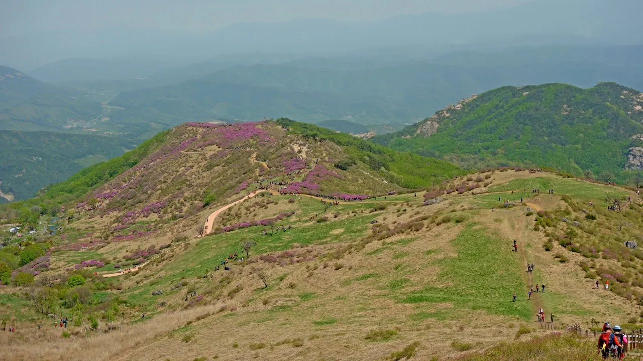 황매산
