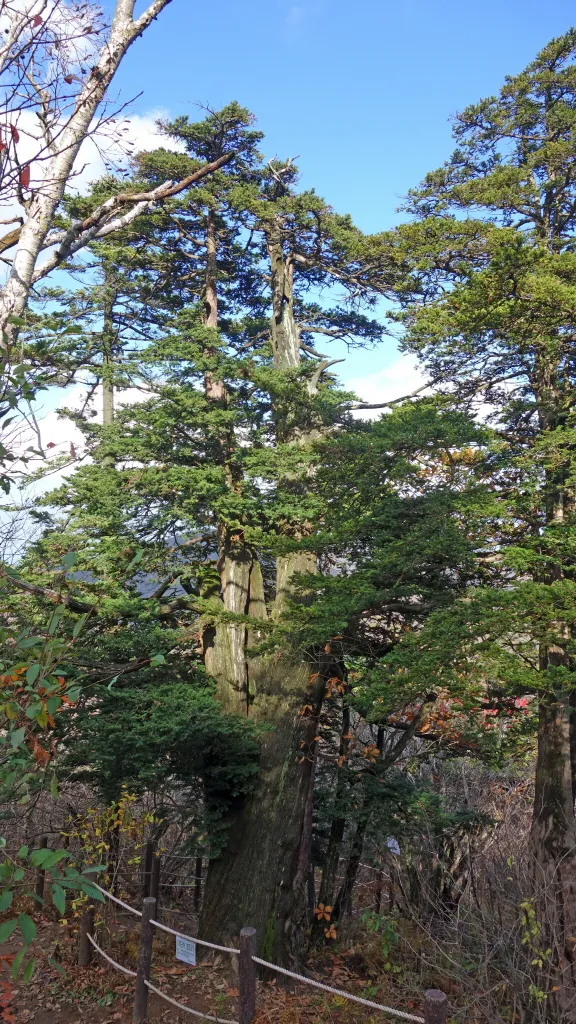 오대산