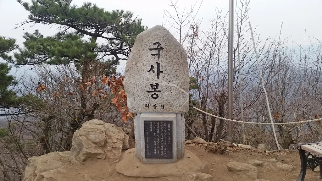 청계산 진달래