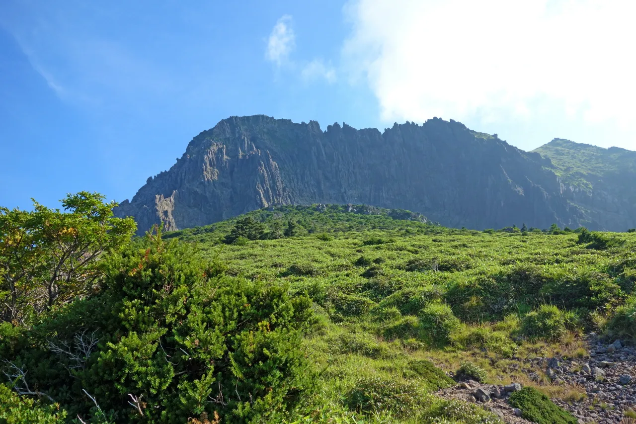 한라산 (돈내코-윗세오름) : 2016-07-30