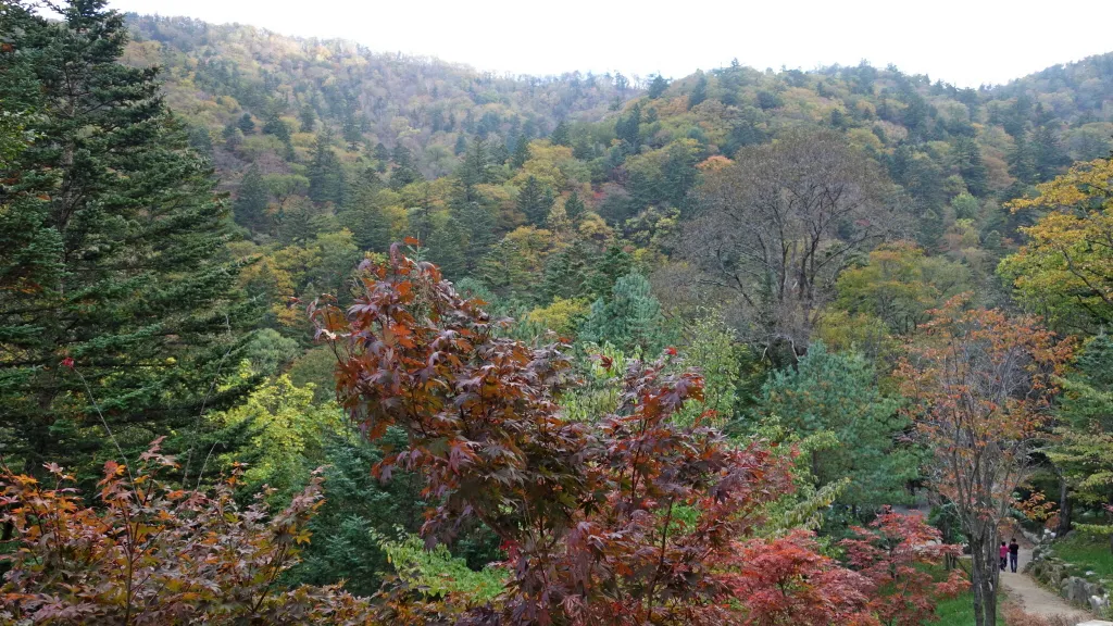 오대산