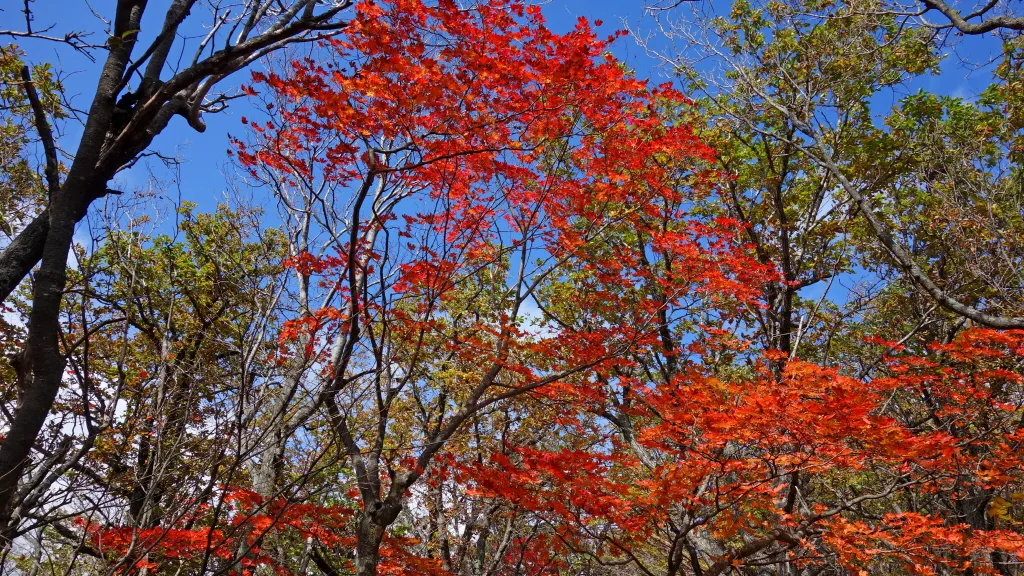 오대산