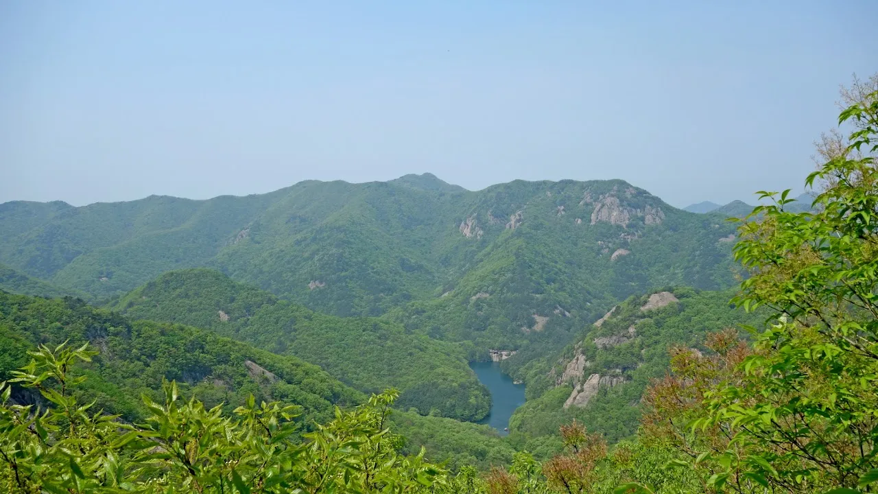 변산