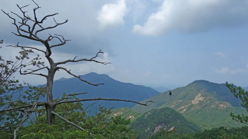 칠보산 (778m) [충북 괴산] : 2016-09-14