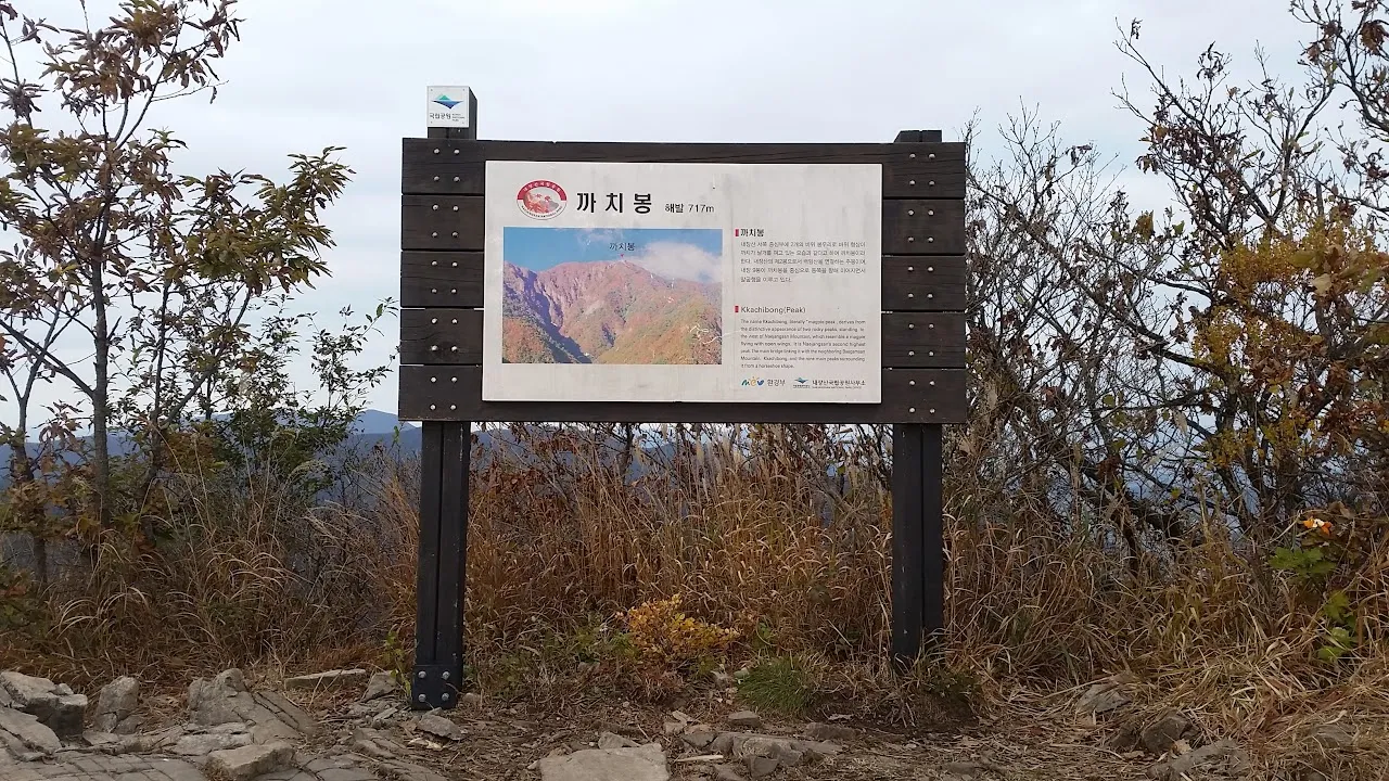 내장산-백양사