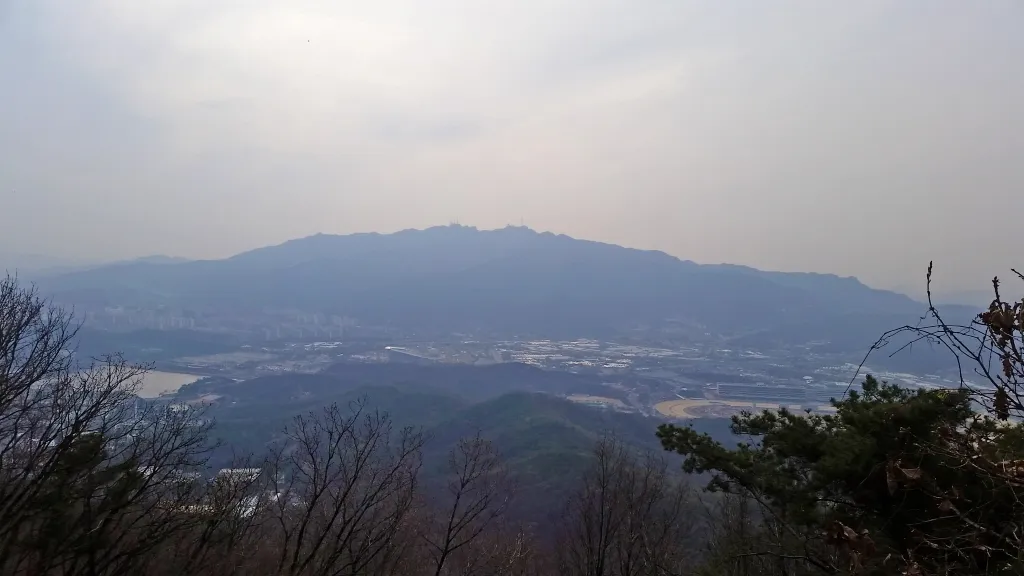 청계산 진달래