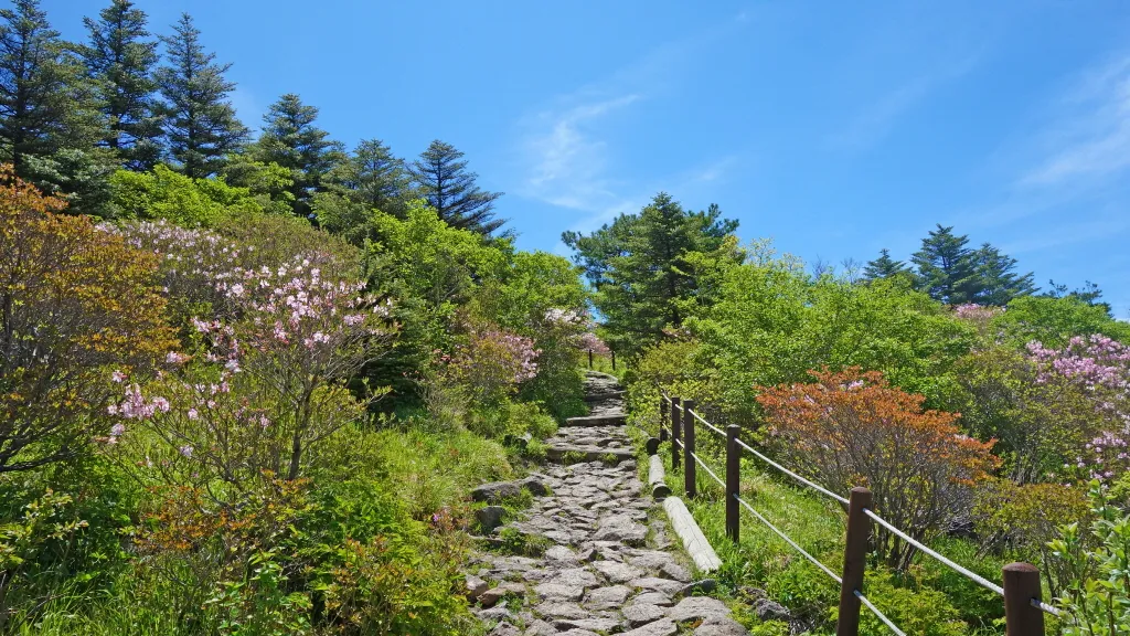 지리산 화대종주 : 2016-05-21