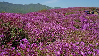 황매산 장박코스 사용자 사진 1