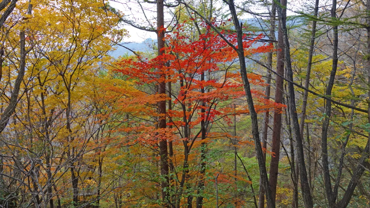 지리산 : 2016-10-29