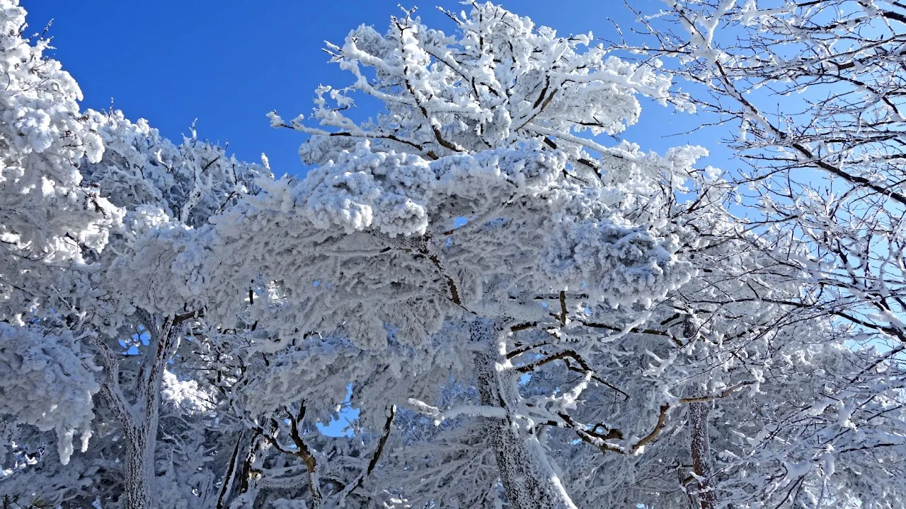덕유산 눈꽃산행