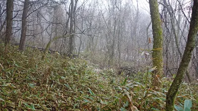 지리산 바래봉코스 사용자 사진 2