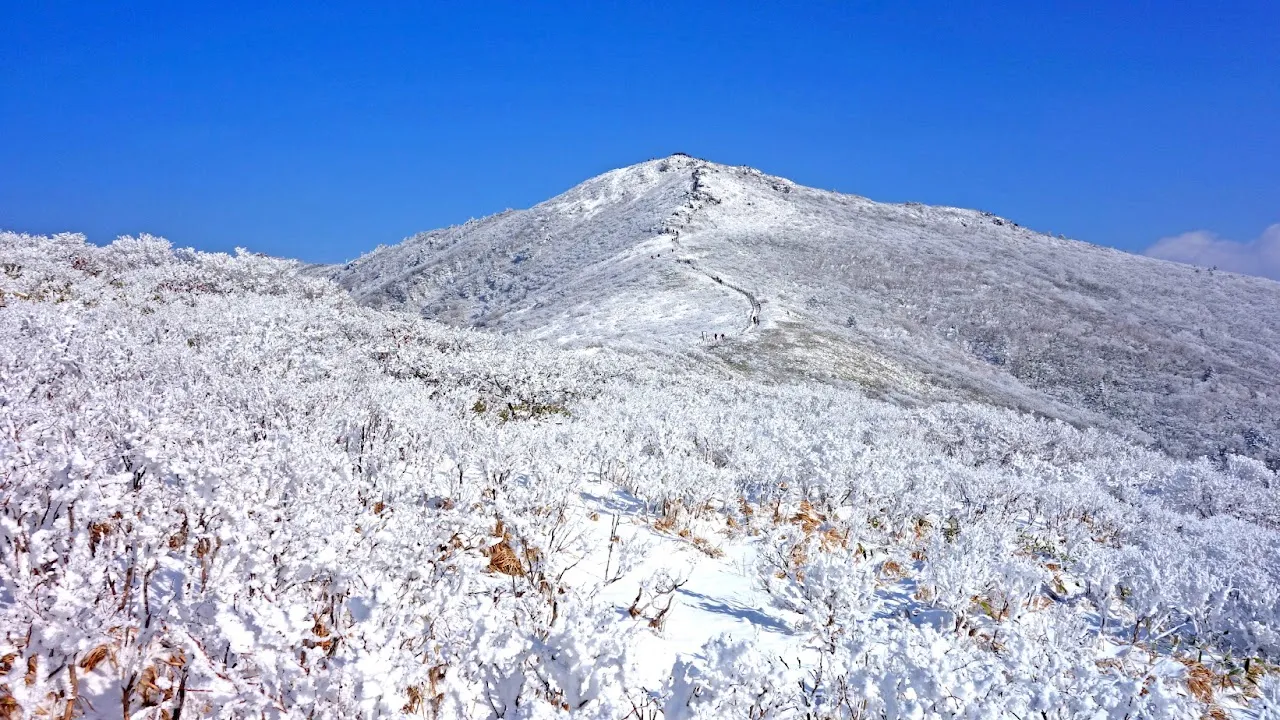 덕유산 눈꽃산행