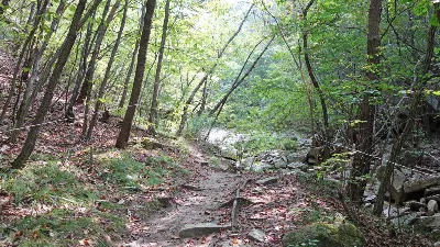 칠보산 (778m) [충북 괴산] : 2016-09-14