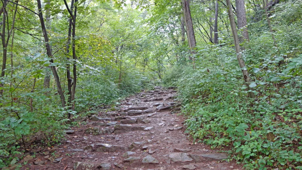 유명산-용문산:2016-09-17