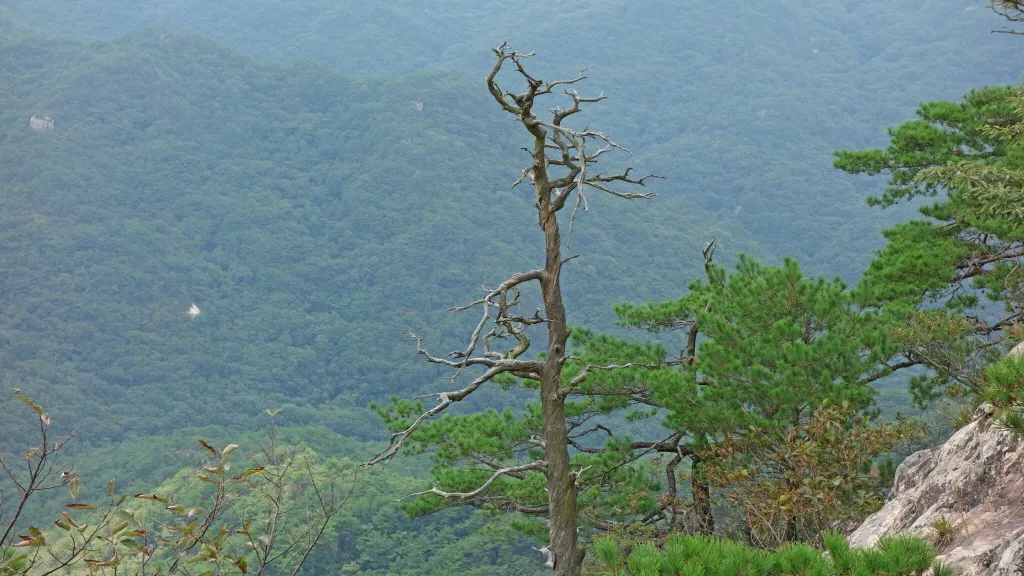 칠보산 (778m) [충북 괴산] : 2016-09-14