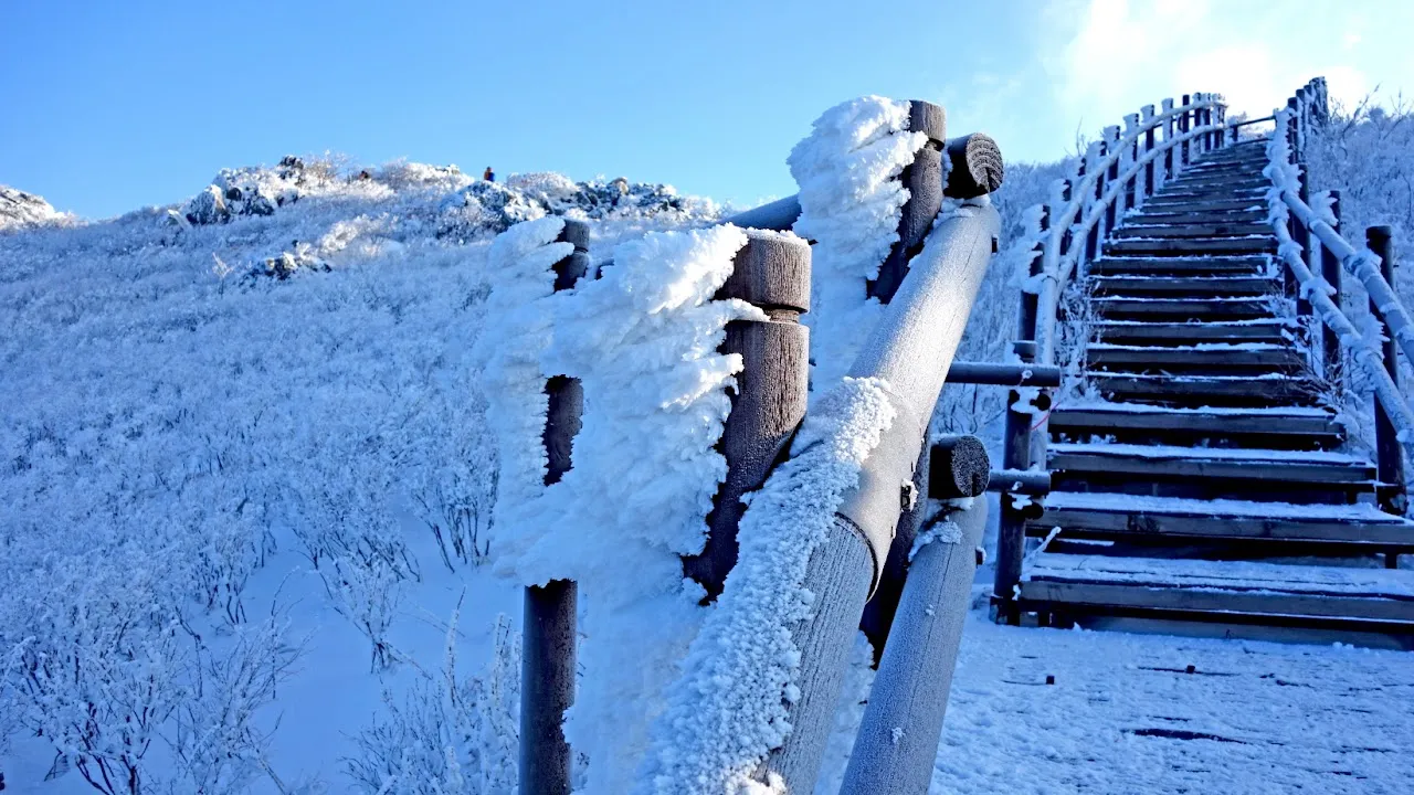 덕유산 눈꽃산행