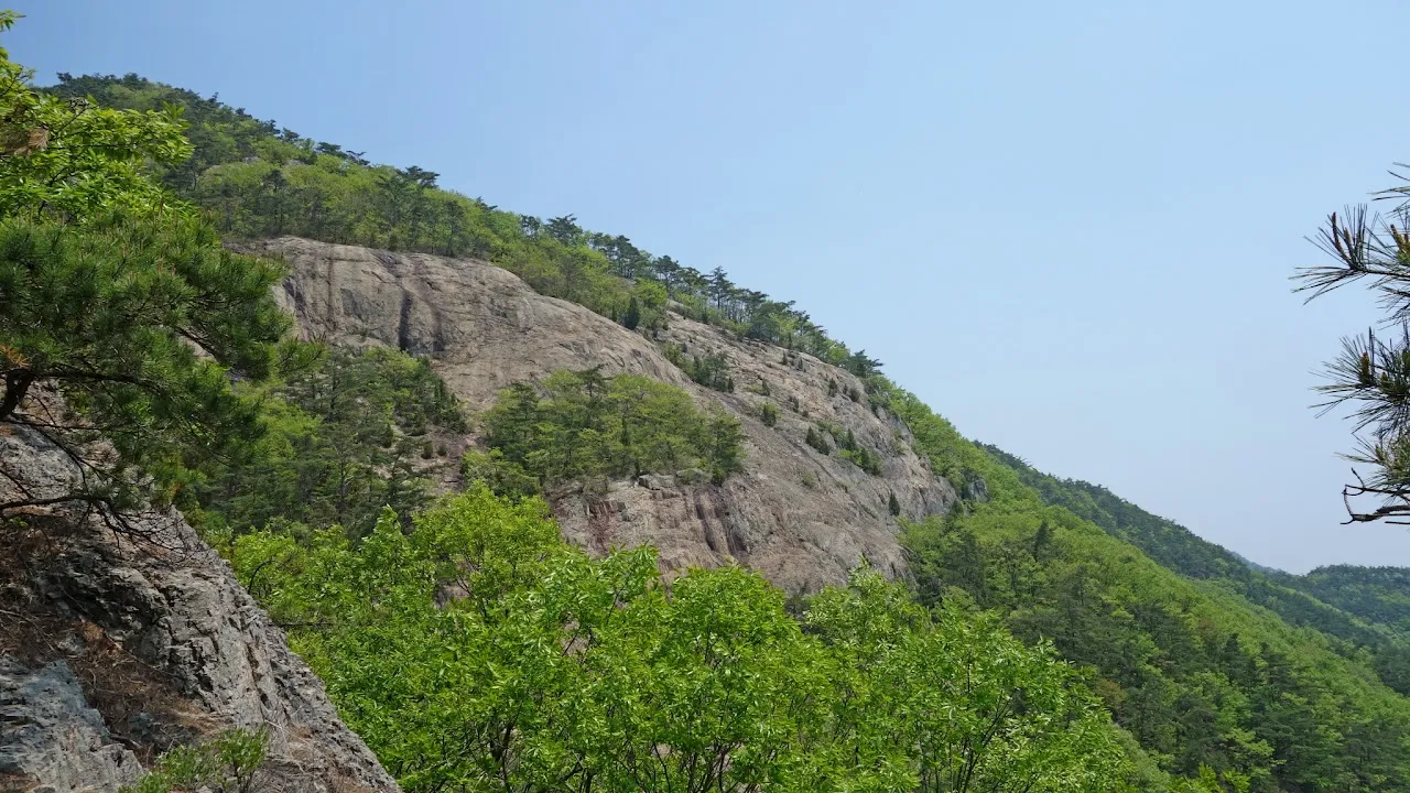 변산
