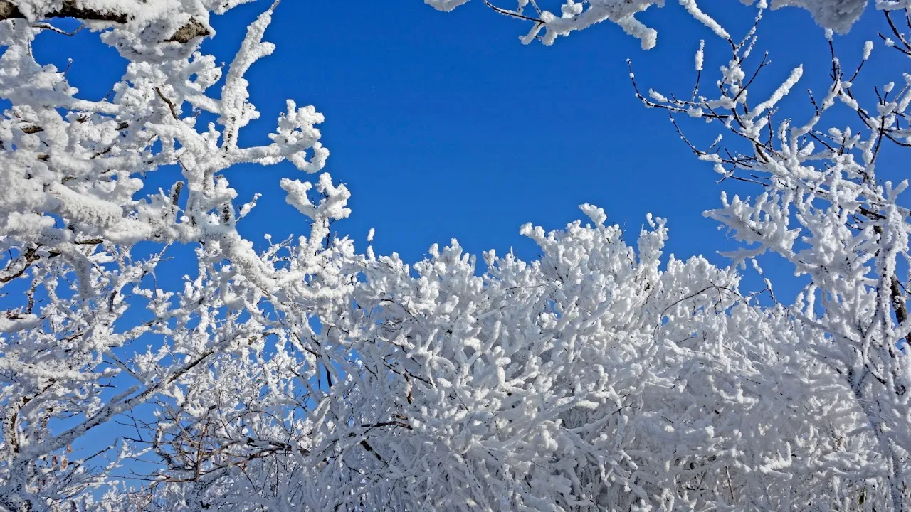 덕유산 눈꽃산행