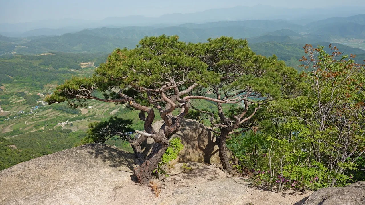 황매산