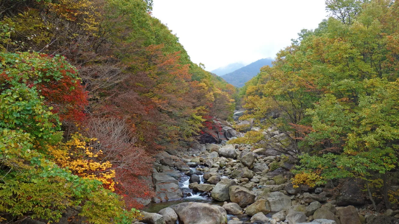 지리산 : 2016-10-29
