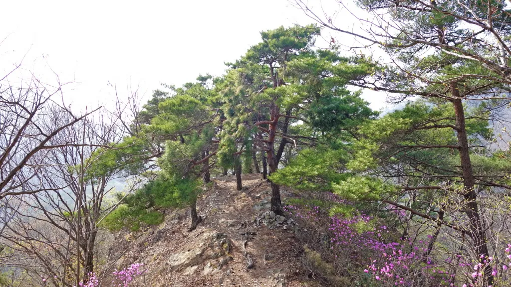 강천산 (전북 순창) : 2016-04-09