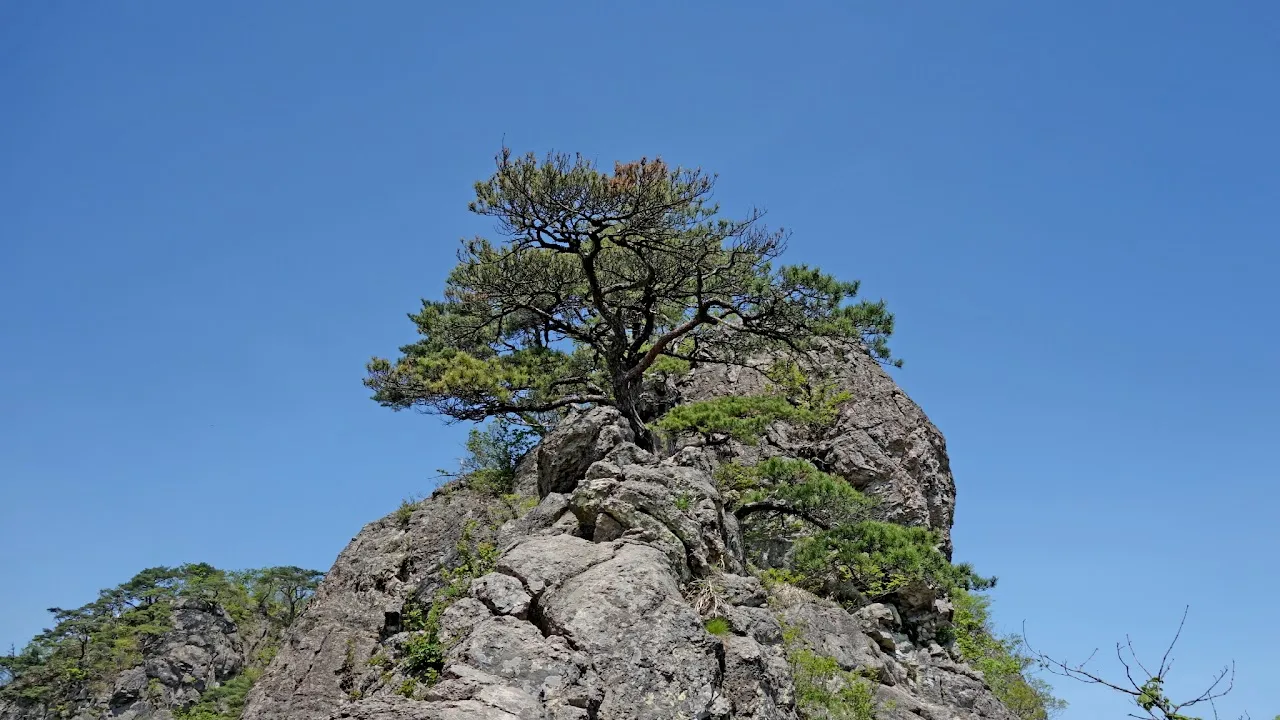 구병산:2016-05-07