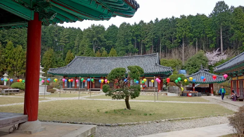 미륵산 (경남 통영) : 2016-04-02