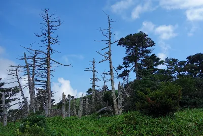 한라산 돈내코코스 사용자 사진 1