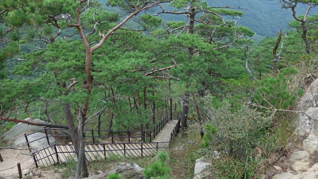 칠보산 (778m) [충북 괴산] : 2016-09-14