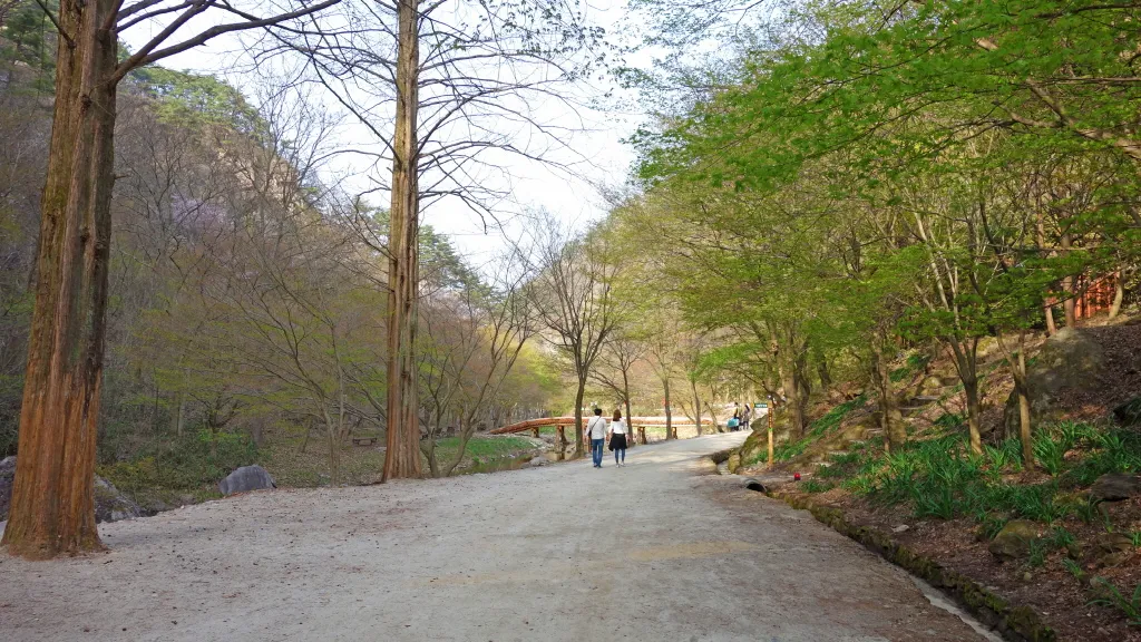 강천산 (전북 순창) : 2016-04-09