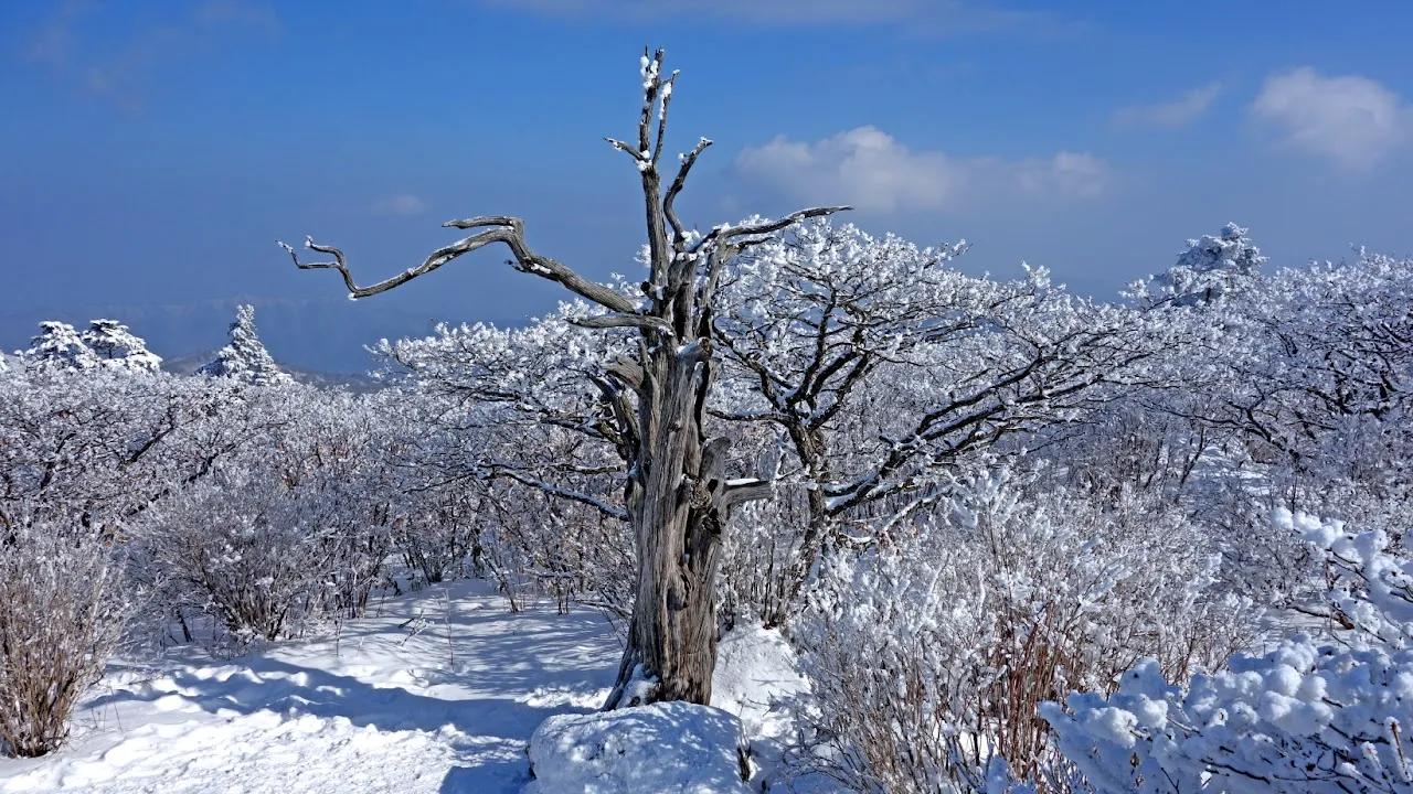 덕유산 눈꽃산행
