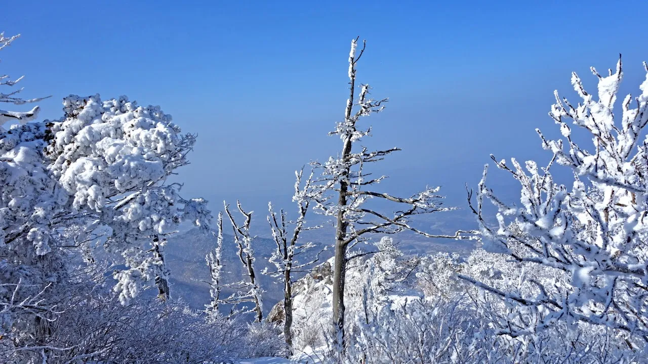 덕유산 눈꽃산행