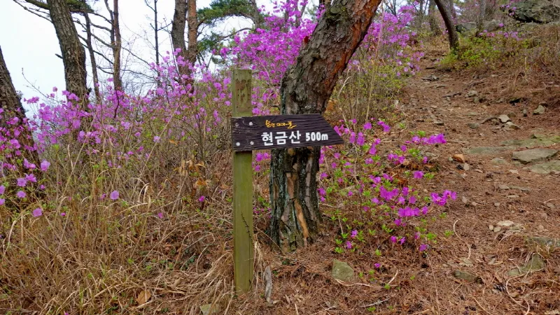 미륵산 (경남 통영) : 2016-04-02