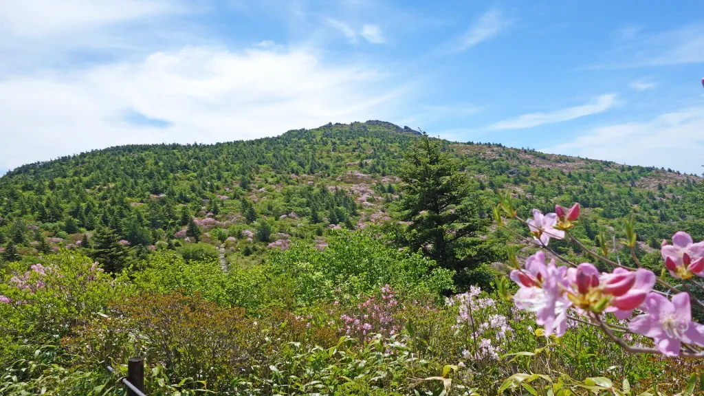 지리산 화대종주 : 2016-05-21