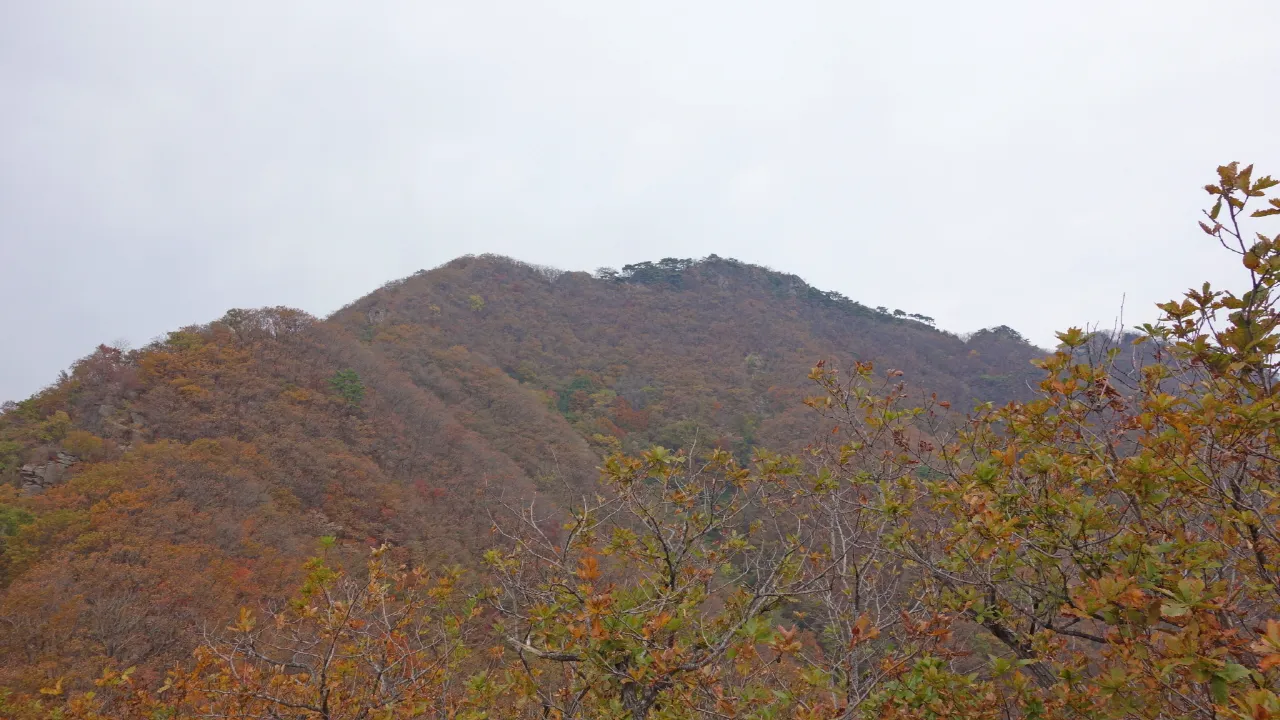 천마산 : 2016-10-16