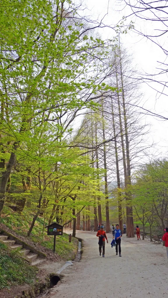 강천산 (전북 순창) : 2016-04-09