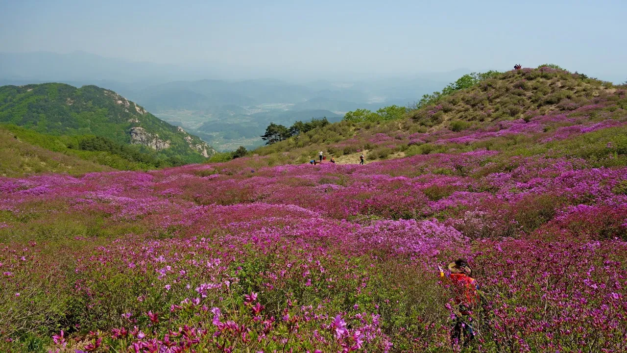황매산