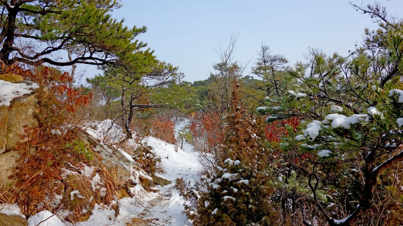 용봉산-덕숭산