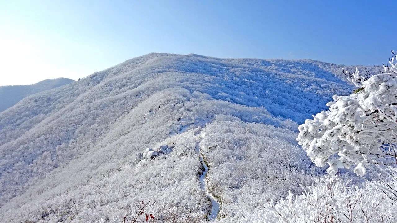 덕유산 눈꽃산행