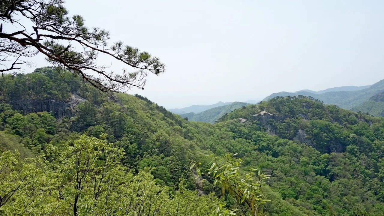 변산