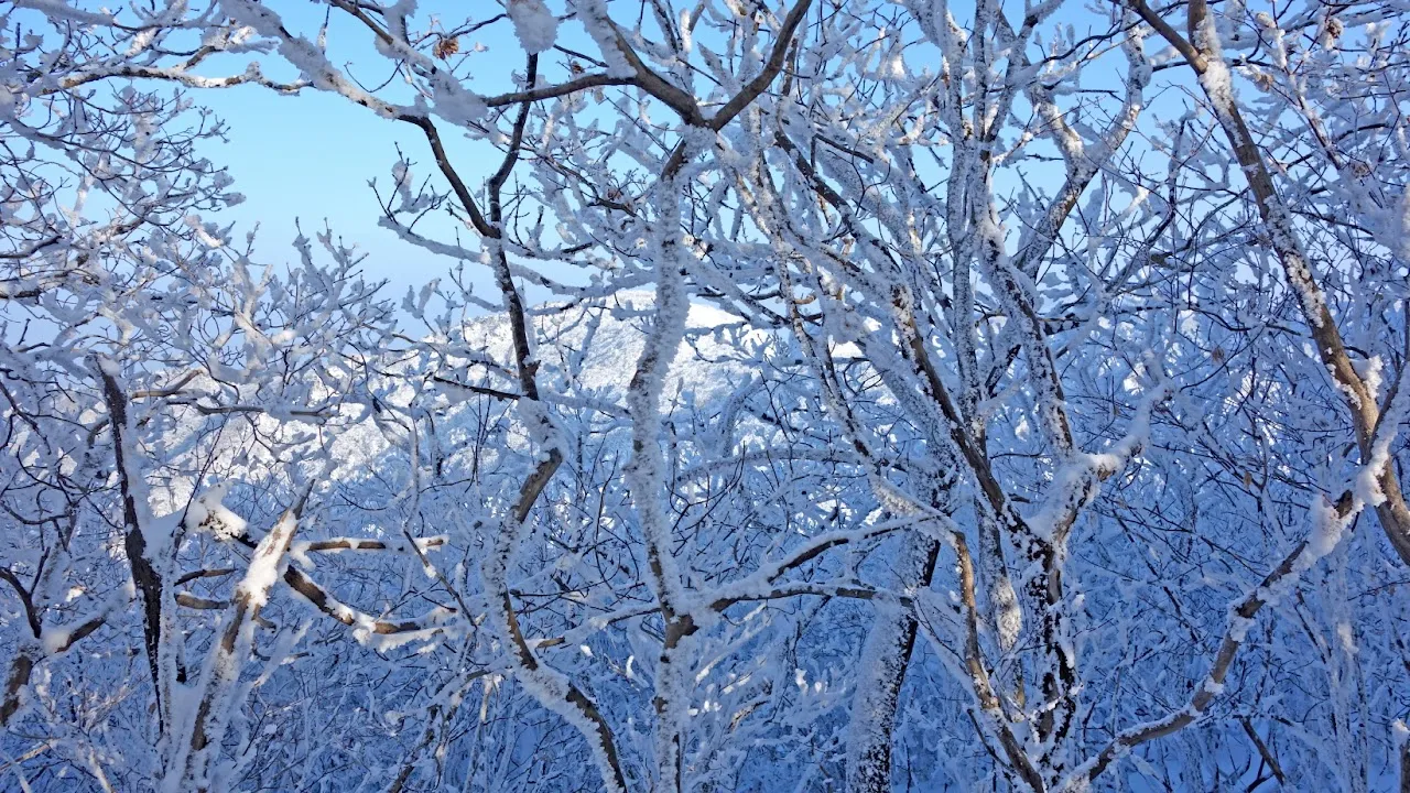 덕유산 눈꽃산행
