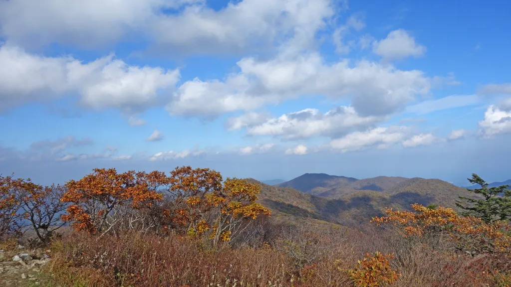 오대산